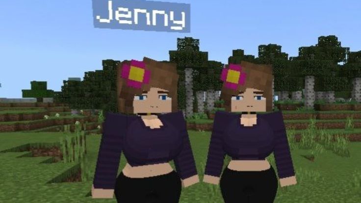 Jenny Mod gameplay showing interactive features